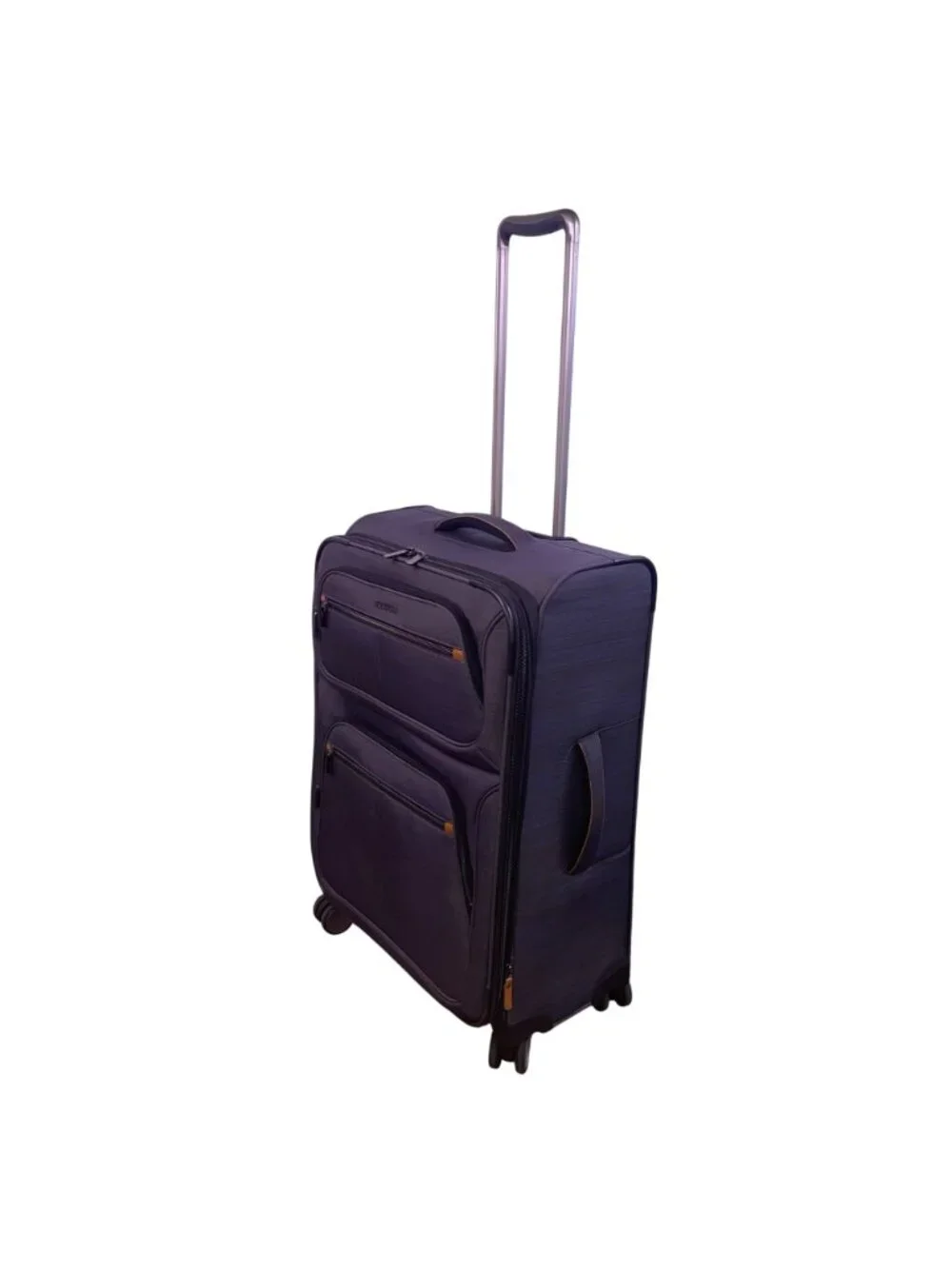 Ricardo Men’s Gray & Blue Blend Nylon 4-Wheel Spinner Expandable Travel Luggage